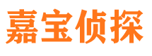 木里侦探社